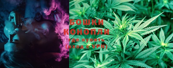 тгк Галич