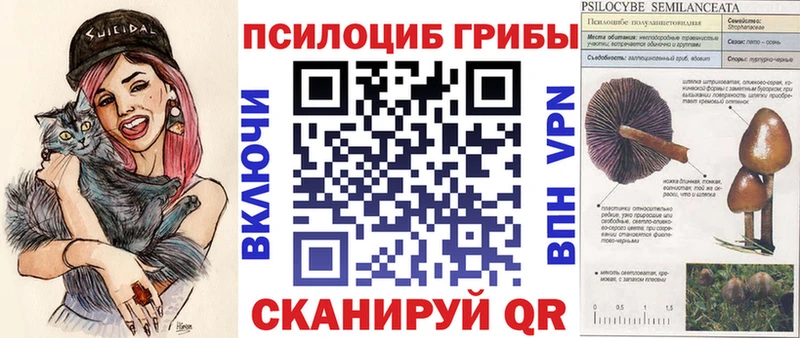 Галлюциногенные грибы GOLDEN TEACHER  Кондрово 